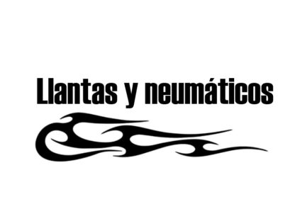 LLANTAS Y NEUMÁTICOS